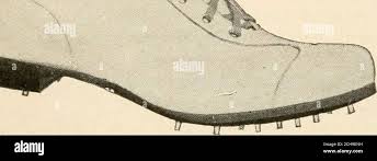 Image result for Spalding Cc