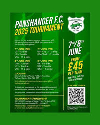 Image result for Welwyn Garden City Panshanger Football Club