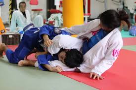 Image result for Hachidori ju-jitsu Martial Arts