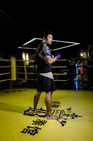 Image result for Southgate T`ai Tsung Chinese Boxing
