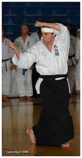 Image result for Inyo Karate Do Ninbukan