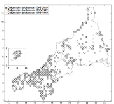 Attēlu rezultāti vaicājumam “Didymodon tophaceus”