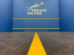 Image result for Stour Squash Club