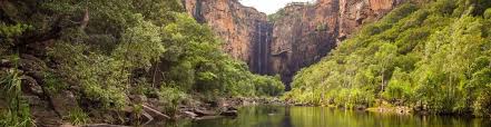 Billedresultat for kakadu n...