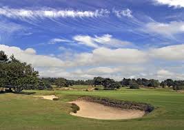 Image result for Walton Heath Golf Club