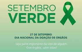 Image result for doação de órgãos