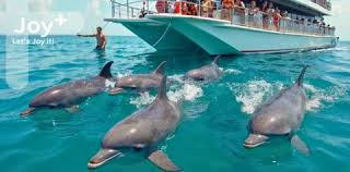 Image result for Belfairs Dolphins Snorkelling Club