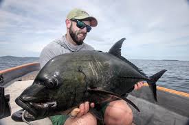 Image result for Caranx lugubris