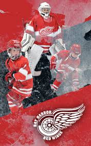 Image result for Adur Skater Hockey Club