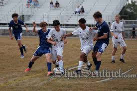 Image result for Manor Colts Youth Football Club