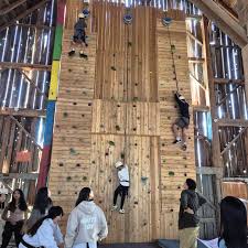 Image result for Cardinals Badminton Club