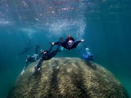 Image result for Darwen Snorkelling Club