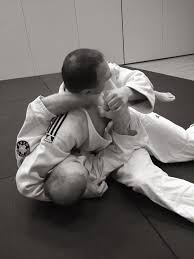 Image result for Tae-jitsu