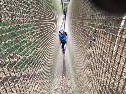 Image result for Go Ape! Leeds Castle