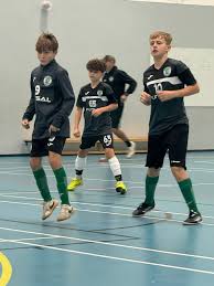 Image result for Southend handball club