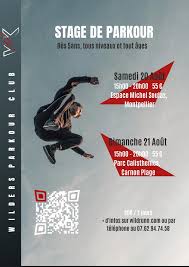 Image result for Les Voleurs Parkour Club