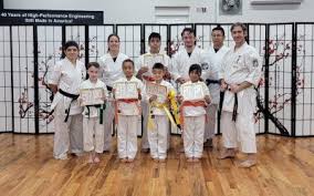 Image result for Middletown Martial Arts Dojo