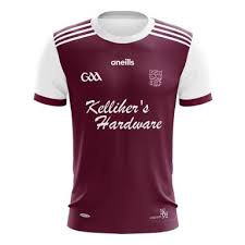 Image result for Causeway Hurling Club