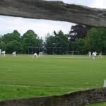 Image result for Buxted Park Cricket Club