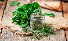 Image result for Pfefferminze