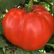 Afbeeldingsresultaat voor butter and bull heart tomato