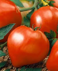 Afbeeldingsresultaat voor anna russian tomato