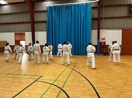 Image result for Woodley Karate Club