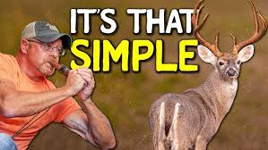 Image result for Royal Leamington Spa Archery Society