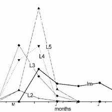 Attēlu rezultāti vaicājumam “Acalypta carinata”