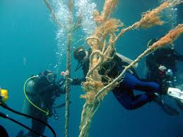 Image result for Stortford Divers