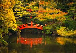 Image result for japanese gardens...
