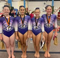 Image result for Vernon Park Gymnastics