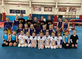 Image result for City Of Hull Olympic Gymnastics Club