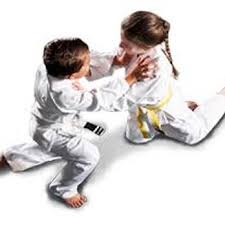 Image result for Samurai Judo Club