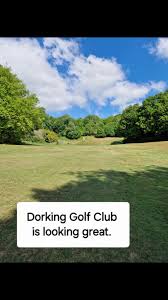 Image result for Dorking Golf Club