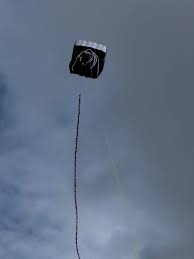 Image result for One Sky One World UK