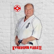 Image result for Kyokushin Karate