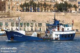 Image result for Salmo salar