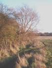"de facto" footpath from New England Wood to the Scrubs. - via Daymix