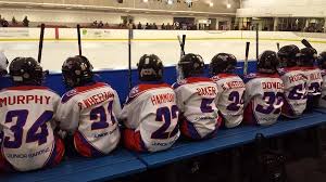 Image result for Solihull Recreational Ice Dancing Club