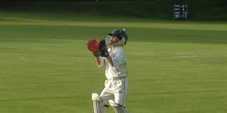 Image result for Worlingworth Cricket Club