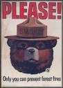 smokey the bear gets pwned! - Sharenator.