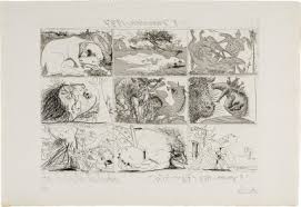 Image result for foto de fraco