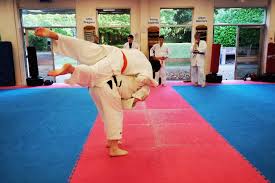 Image result for Basingstoke Aikido Club