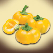 Afbeeldingsresultaat voor topepo giallo sweet pepper