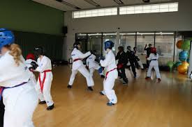 Image result for Bytomic Tae Kwon Do Windsor