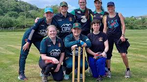 Image result for Bronwydd Cricket Club