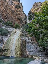 Attēlu rezultāti vaicājumam “Leporida”