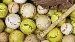 Image result for Meadows Sports Association