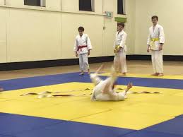 Image result for Welwyn Garden City Judo Club